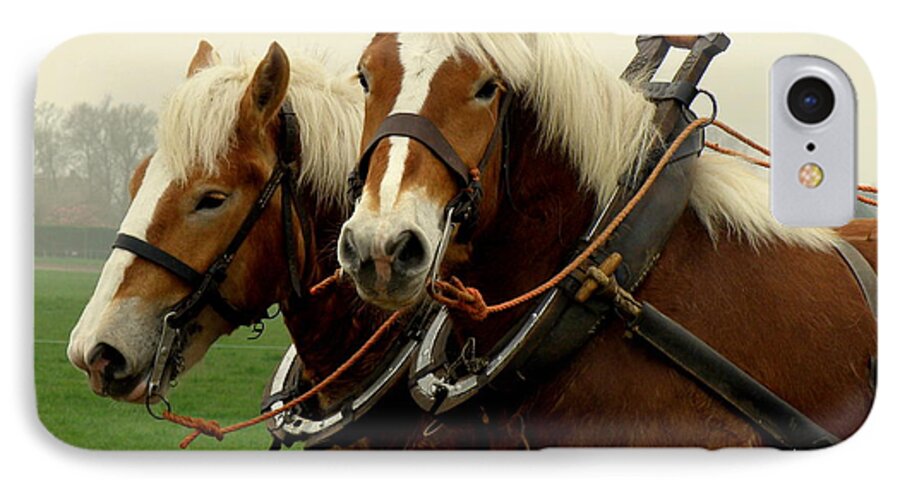 Horses iPhone 7 Case featuring the photograph Work Horses by Lainie Wrightson