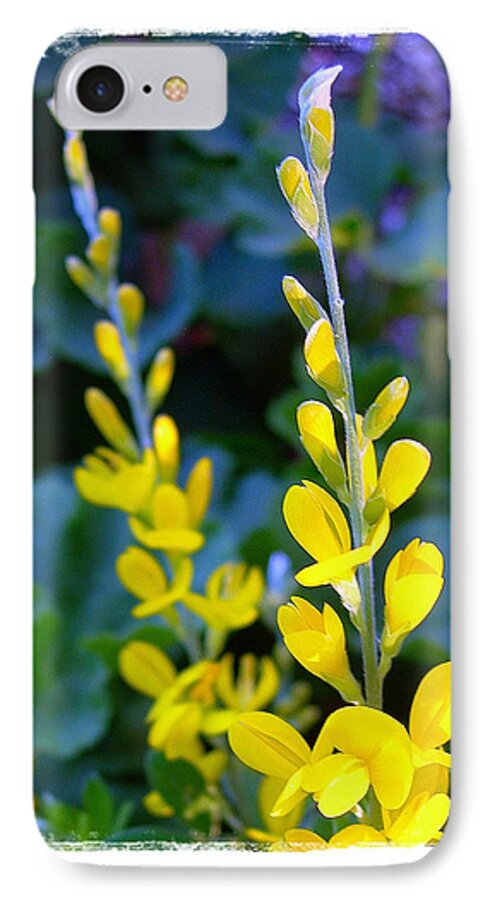 Yellow iPhone 7 Case featuring the photograph Yellow Plumes by Judi Bagwell