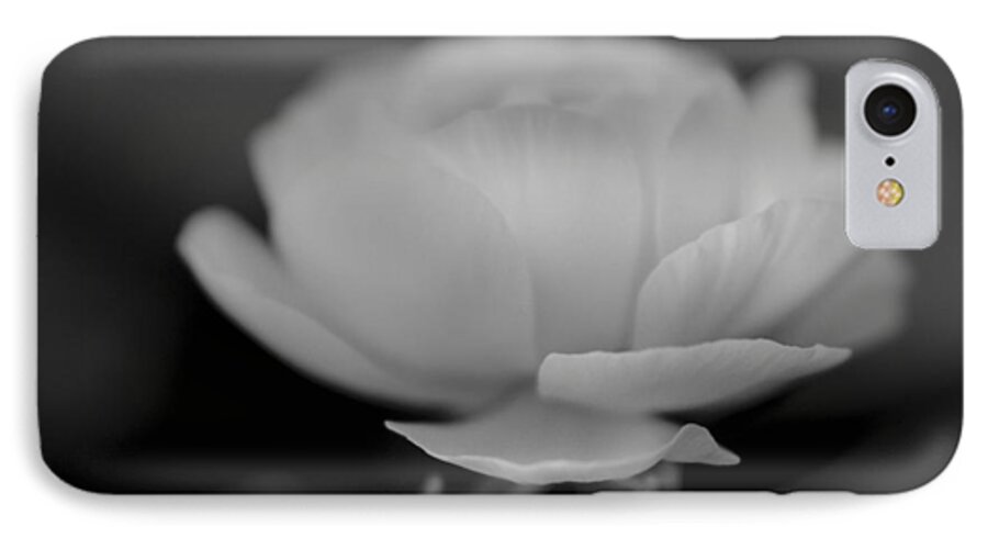 Floating Flower- Peaceful- Calming Image- Art Of Rae Ann M. Garrett- Black And White Art- Lotus - Rununculus iPhone 7 Case featuring the photograph In Stillness by Rae Ann M Garrett