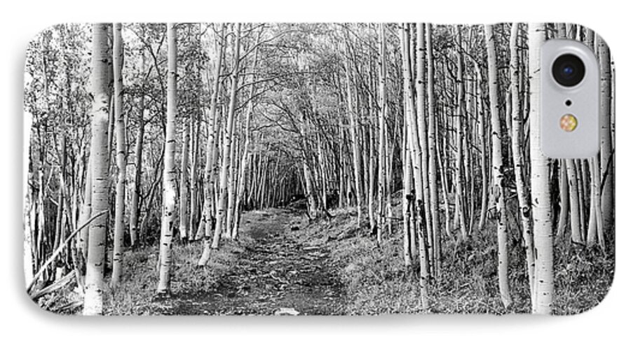 Aspen iPhone 7 Case featuring the photograph Aspen Forest #1 by Farol Tomson