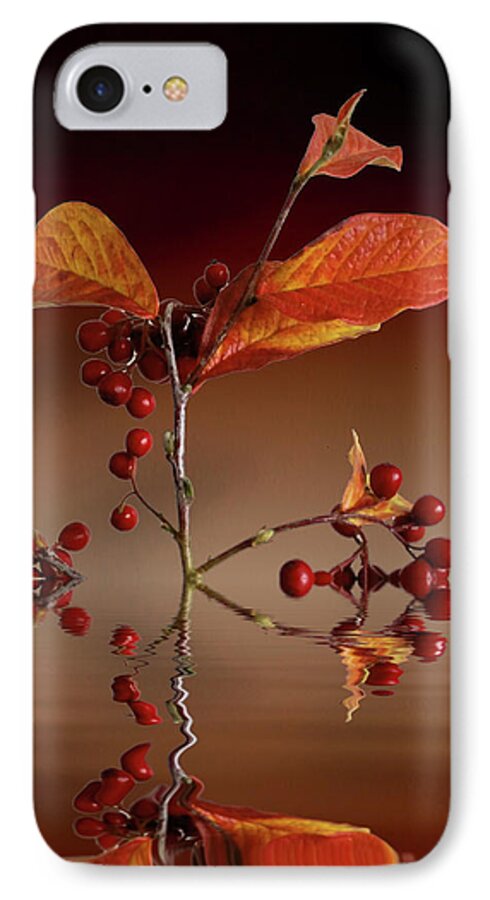 Leafs iPhone 7 Case featuring the photograph Autumn leafs and red berries #1 by David French
