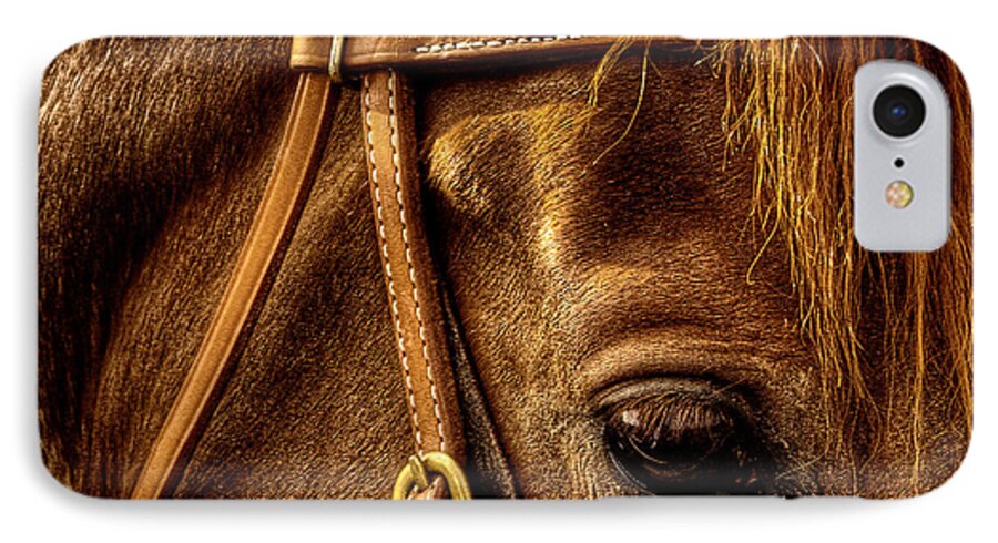 Horses iPhone 7 Case featuring the photograph Bridled #1 by David Patterson