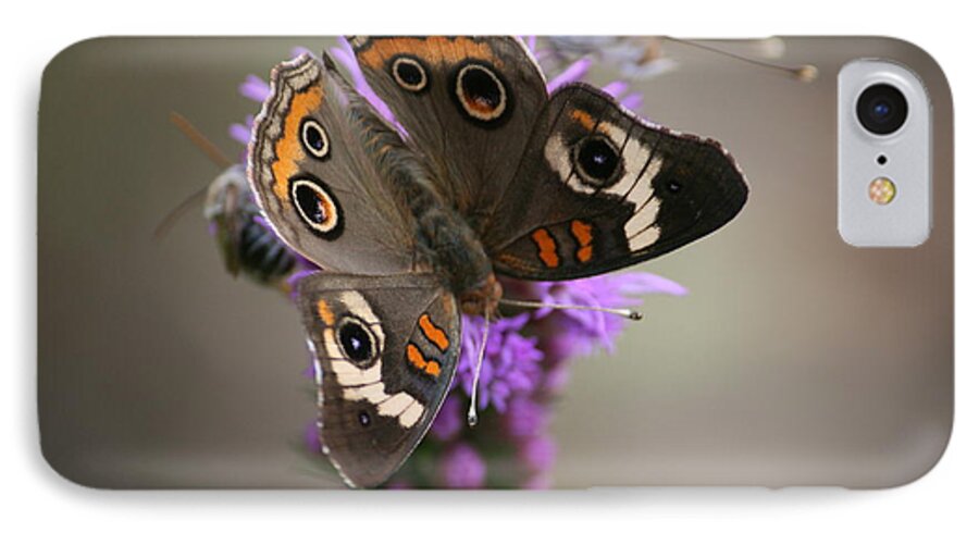 Butterfly iPhone 7 Case featuring the photograph Buckeye Butterfly by Cathy Harper