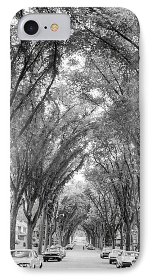 Elm iPhone 7 Case featuring the photograph Cathedral Of Trees #1 by Mike Evangelist
