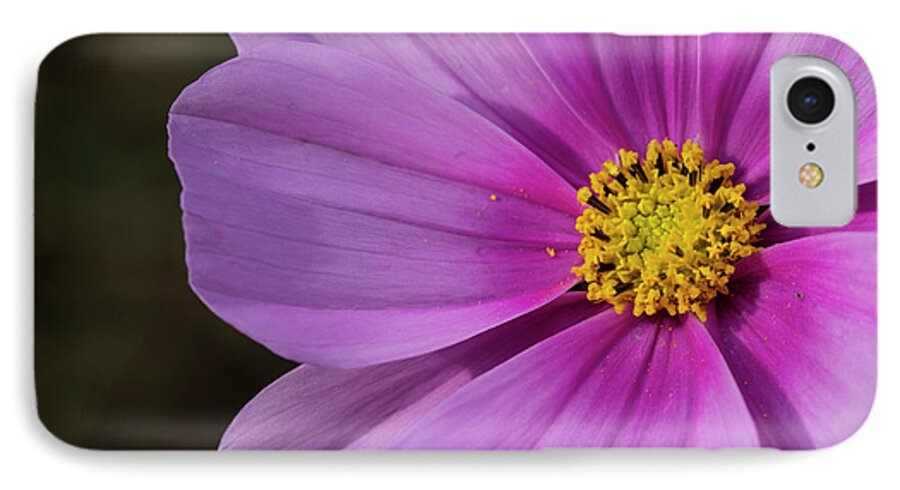 Flower iPhone 7 Case featuring the photograph Cosmos #1 by Elvira Butler