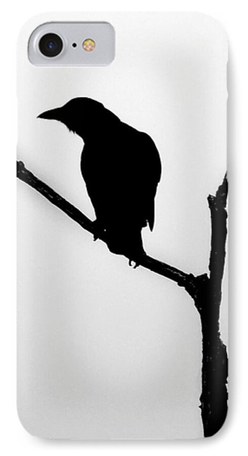 Curious iPhone 7 Case featuring the photograph Curious #1 by Dark Whimsy