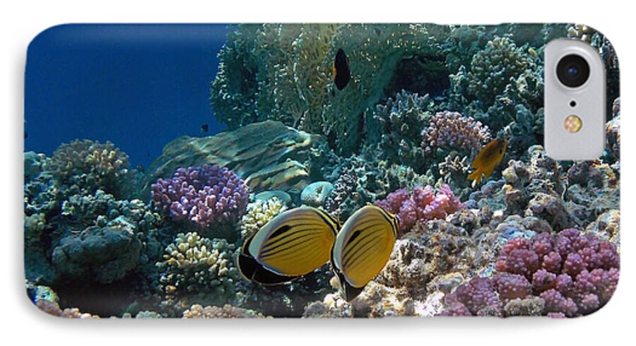 Sea iPhone 7 Case featuring the photograph Exquisite Butterflyfish in the Red Sea by Johanna Hurmerinta