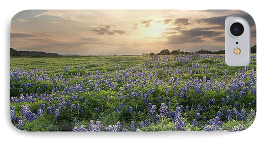Texas iPhone 7 Case featuring the photograph Field of Blue #1 by Cathy Alba