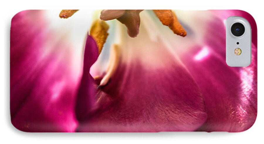 Tulip iPhone 7 Case featuring the photograph Forever #2 by Bobby Villapando