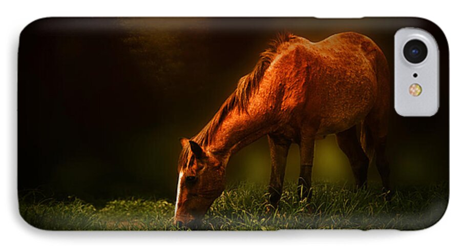 Horse iPhone 7 Case featuring the photograph Grazing #2 by Charuhas Images