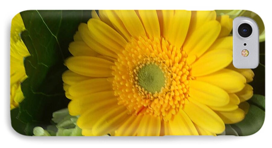 Gerbera iPhone 7 Case featuring the photograph Innocence #1 by Nona Kumah