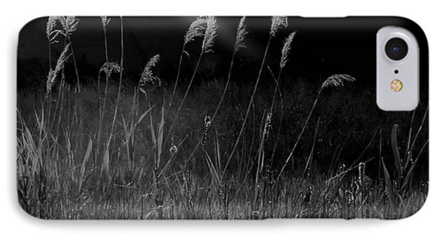 Landscape iPhone 7 Case featuring the photograph Light #1 by A K Dayton