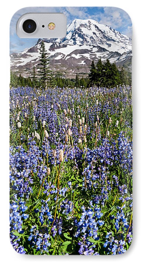 Alpine iPhone 7 Case featuring the photograph Meadow of Lupine Near Mount Rainier #1 by Jeff Goulden