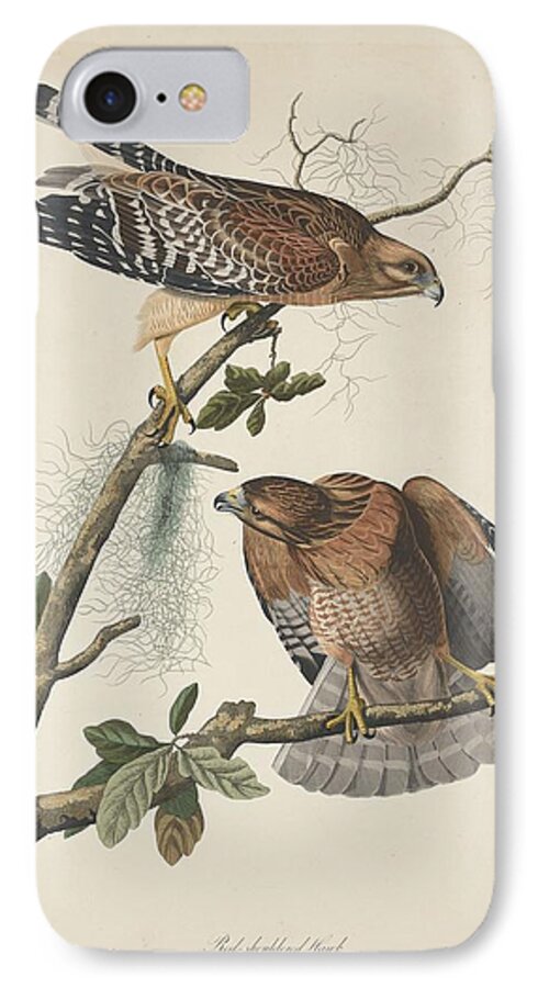 Audubon iPhone 7 Case featuring the drawing Red Shouldered Hawk #1 by Dreyer Wildlife Print Collections 