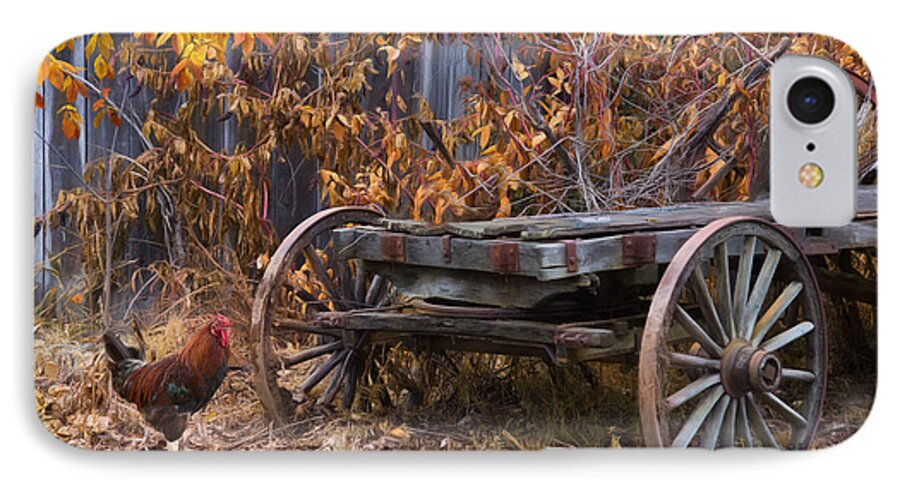 Farm iPhone 7 Case featuring the photograph Rusty #1 by Robin-Lee Vieira