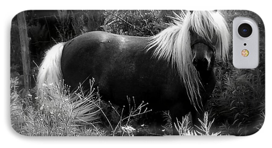 Horse iPhone 7 Case featuring the photograph Vanity #2 by Elfriede Fulda