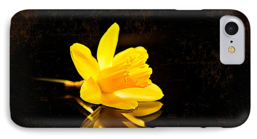Narcissus iPhone 7 Case featuring the photograph Yellow Dreams #1 by Milena Ilieva