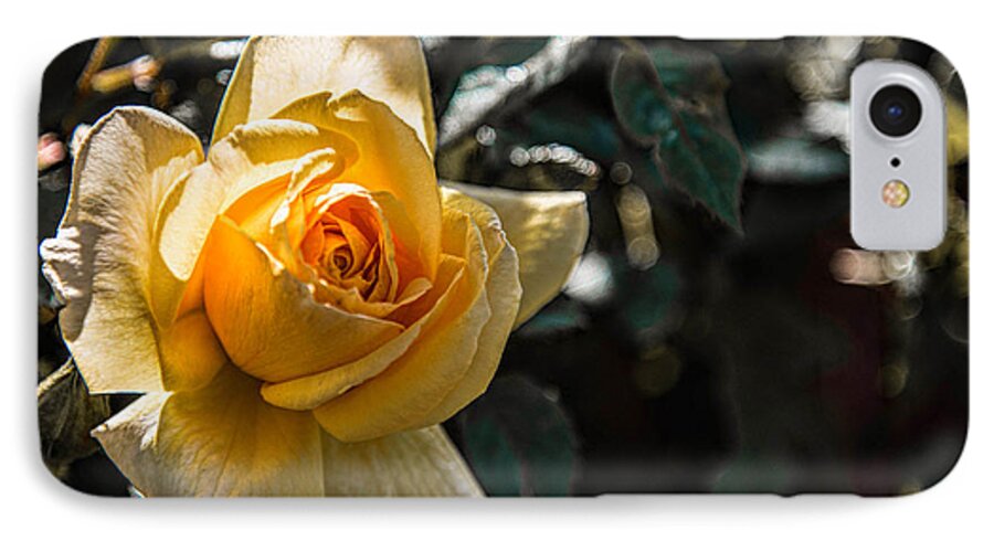  iPhone 7 Case featuring the photograph Yellow Rose #1 by Wendy Carrington