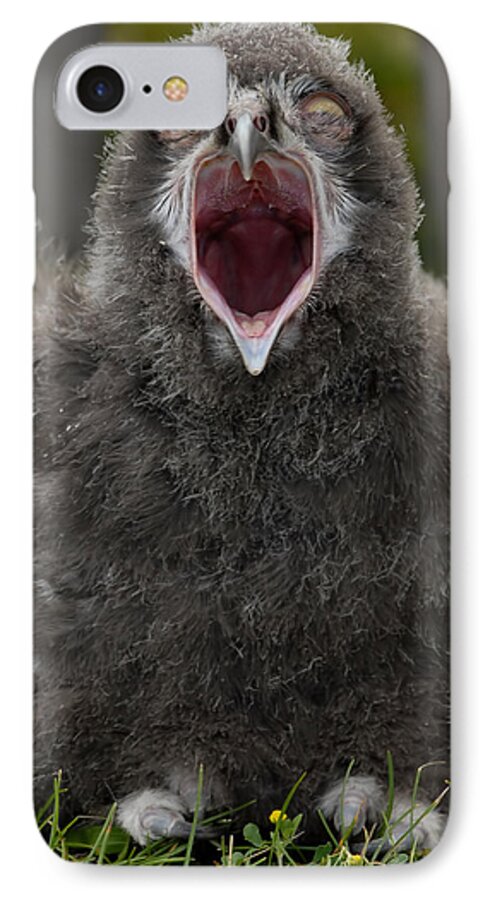 Snowy Owl Baby iPhone 7 Case featuring the photograph Baby Snowy Owl #2 by JT Lewis