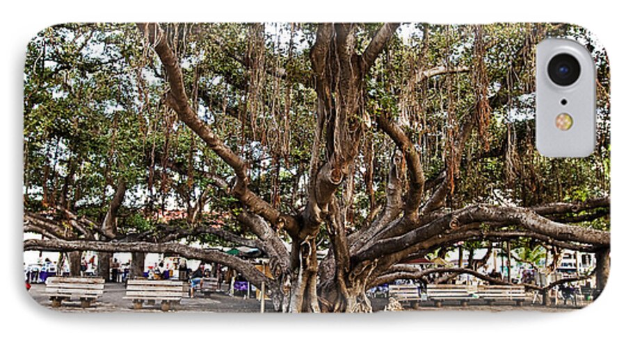 Banyan Tree iPhone 7 Case featuring the photograph Banyan Tree by Scott Pellegrin