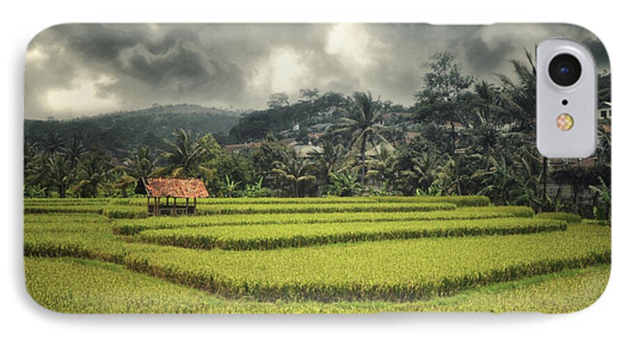 Paddy iPhone 7 Case featuring the photograph Paddy Field #2 by Charuhas Images