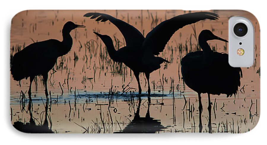 Cranes iPhone 7 Case featuring the photograph Sandhill Cranes at Sunset #2 by John Greco