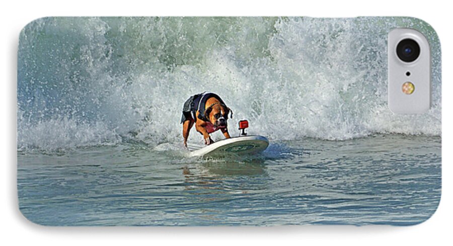 Huntington Beach iPhone 7 Case featuring the photograph Surfing Dog #3 by Thanh Thuy Nguyen