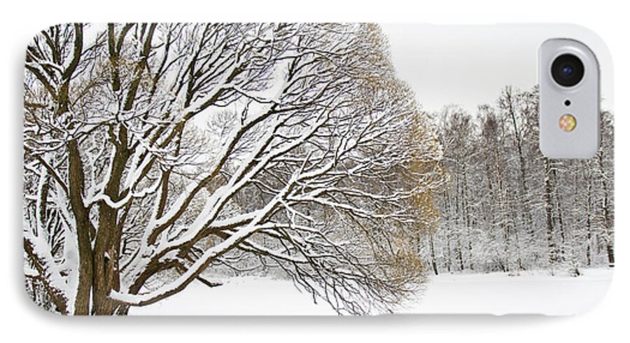 Winter iPhone 7 Case featuring the photograph Winter park #3 by Irina Afonskaya