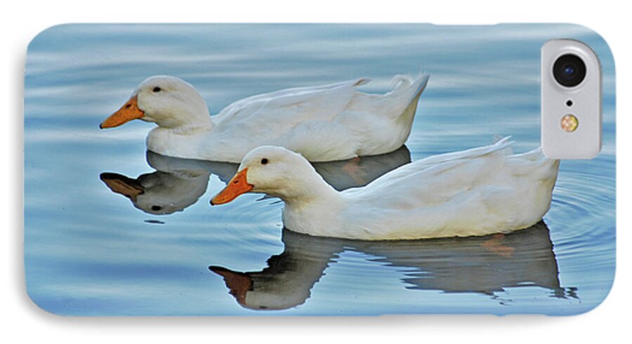 Ducks iPhone 7 Case featuring the photograph 3- Ducks by Joseph Keane