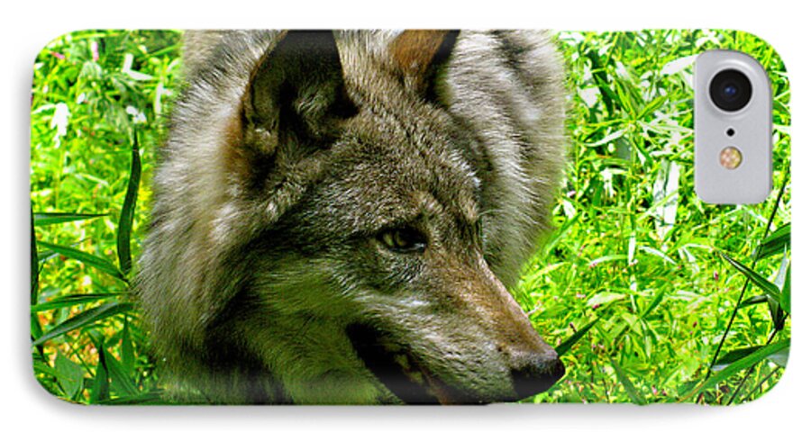 Wild Wolves Group A iPhone 7 Case featuring the photograph The Wild Wolve Group A #3 by Debra   Vatalaro