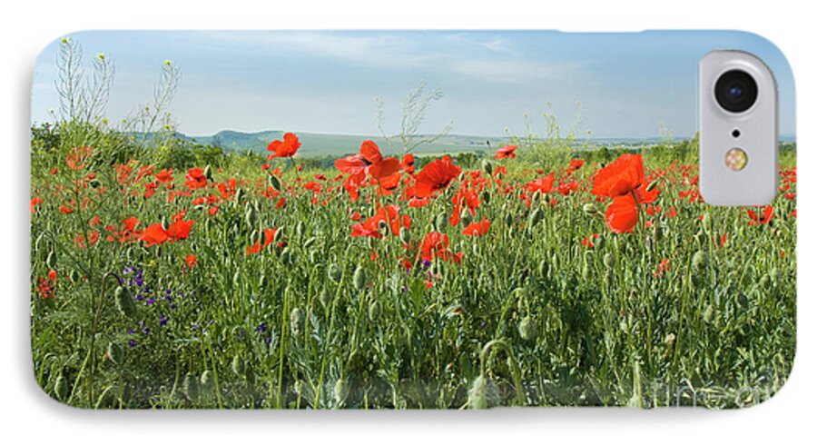 Poppy iPhone 7 Case featuring the photograph Meadow with red poppies #4 by Irina Afonskaya