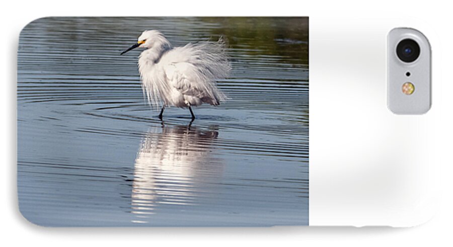 Snowy Egret iPhone 7 Case featuring the photograph Snowy Egret #6 by Tam Ryan