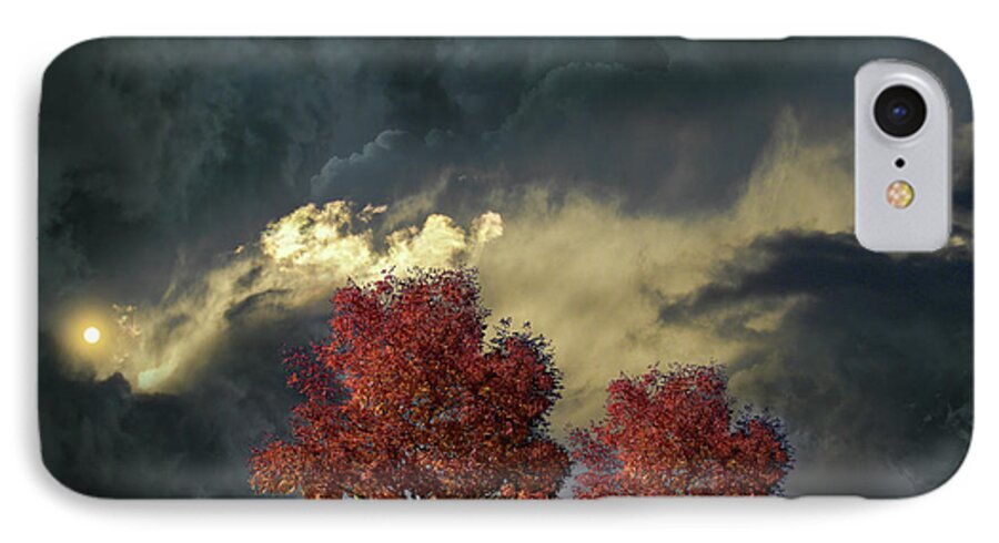Horse iPhone 7 Case featuring the photograph 4384 by Peter Holme III
