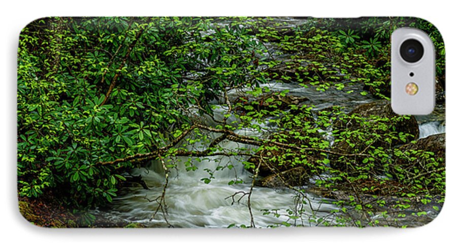 Kens Creek iPhone 7 Case featuring the photograph Kens Creek Cranberry Wilderness #7 by Thomas R Fletcher