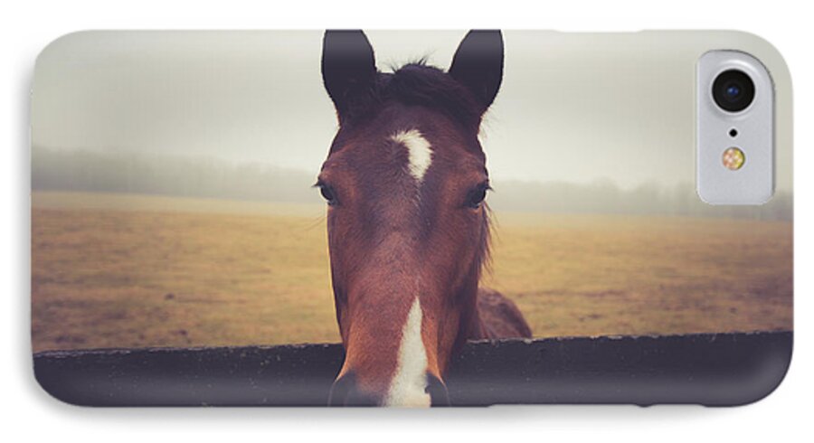 Horse iPhone 7 Case featuring the photograph A Foggy Christmas Day by Shane Holsclaw