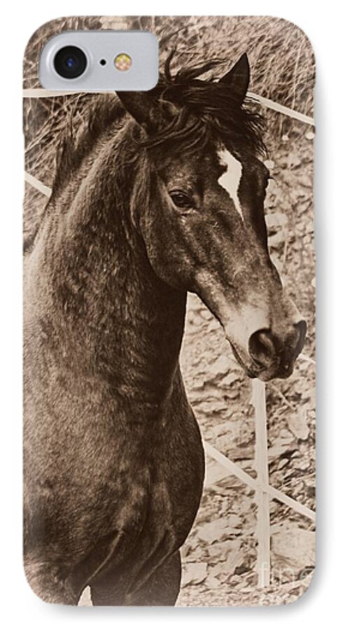 Horse iPhone 7 Case featuring the photograph A Spanish Noble by Clare Bevan