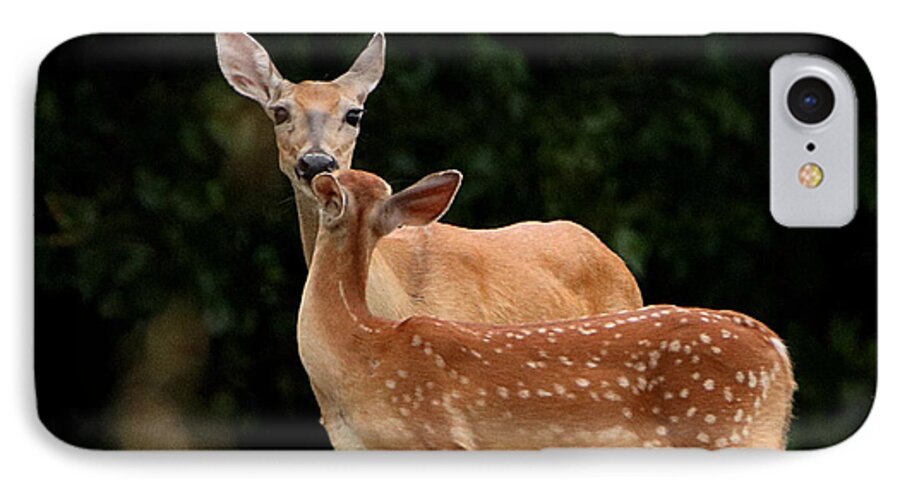 Nature iPhone 7 Case featuring the photograph A Tender Moment by Sheila Brown