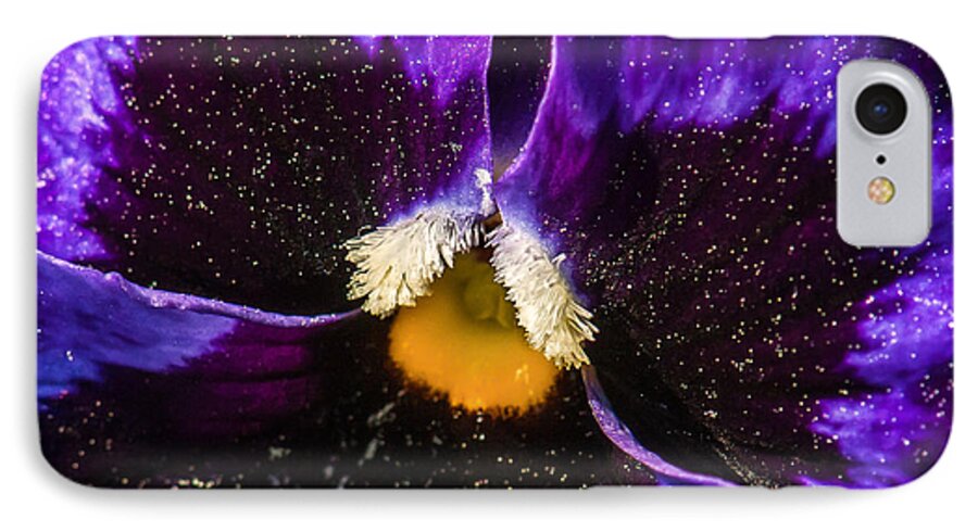 Pansy iPhone 7 Case featuring the photograph A Universe in a Pansy by Jim Moore