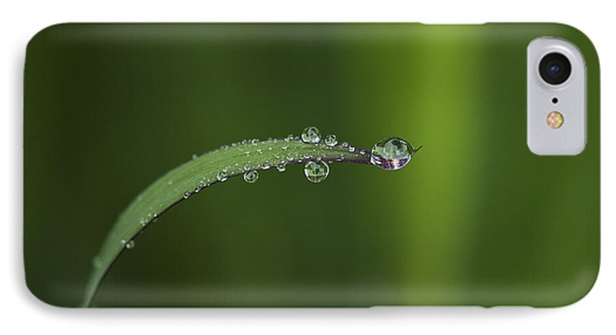 Rain iPhone 7 Case featuring the photograph After the Rain by Morgan Wright
