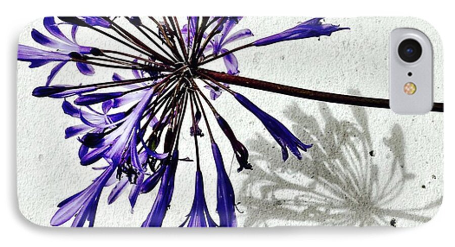 Flower iPhone 7 Case featuring the photograph Agapanthus by Julie Gebhardt