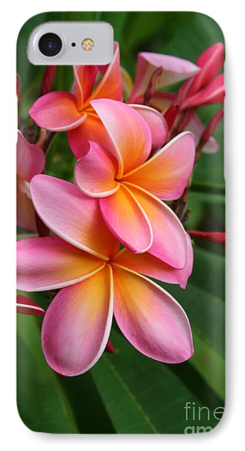 Pink iPhone 7 Case featuring the photograph Aloha Lei Pua Melia Keanae by Sharon Mau