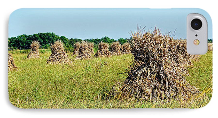 Amish iPhone 7 Case featuring the photograph Amish Harvest by Cricket Hackmann