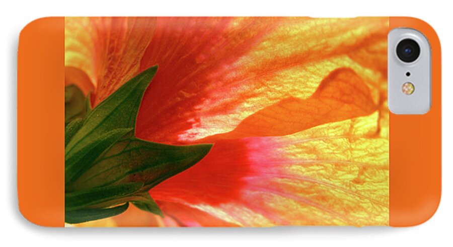 Hibiscus iPhone 7 Case featuring the photograph Angel Brushstrokes by Marie Hicks