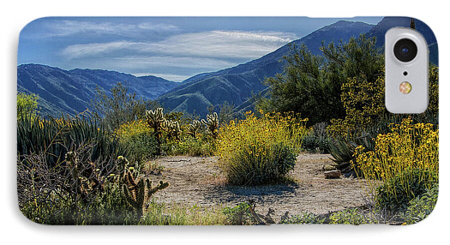 Art iPhone 7 Case featuring the photograph Anza-Borrego Desert State Park Desert Flowers by Randall Nyhof