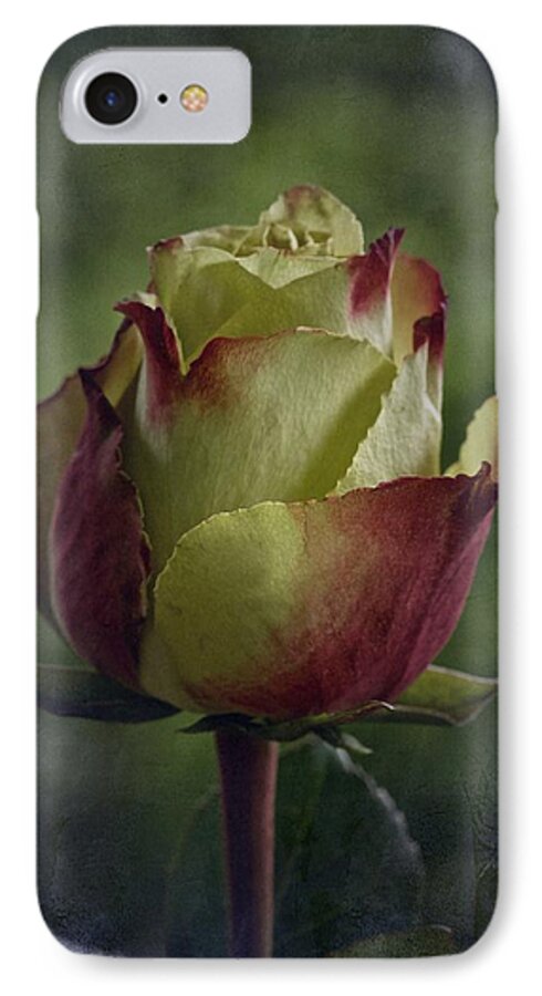 Rose iPhone 7 Case featuring the photograph April 2017 Rose - Inspired by Emerson by Richard Cummings