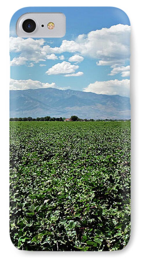 Arizona Cotton Field iPhone 7 Case featuring the photograph Arizona Cotton Field by Two Hivelys