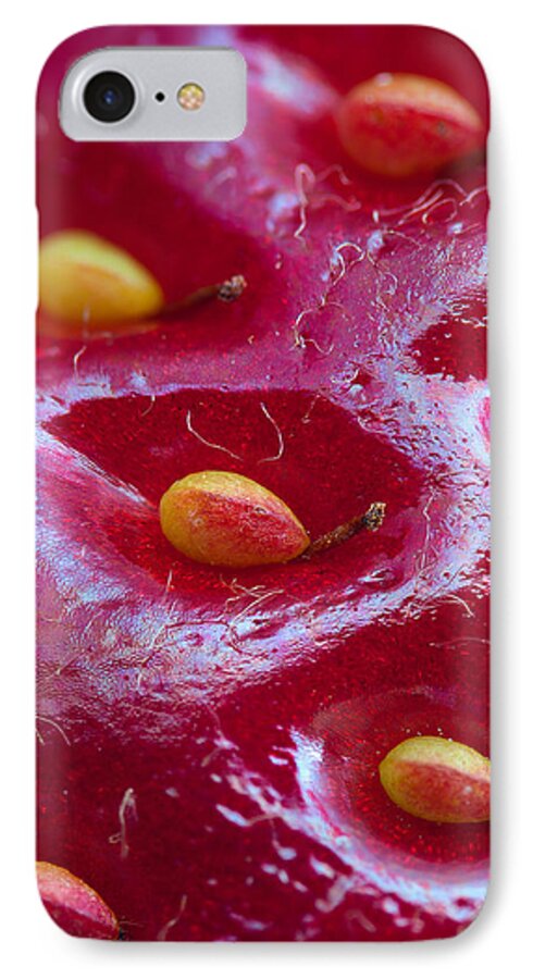 Strawberry iPhone 7 Case featuring the photograph Strawberry fields by Alexey Kljatov