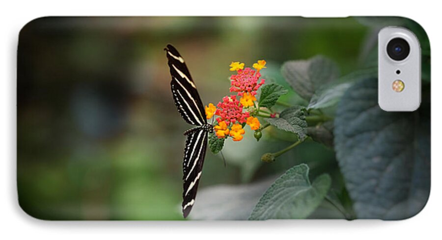 Arizona iPhone 7 Case featuring the photograph At Last by Lucinda Walter