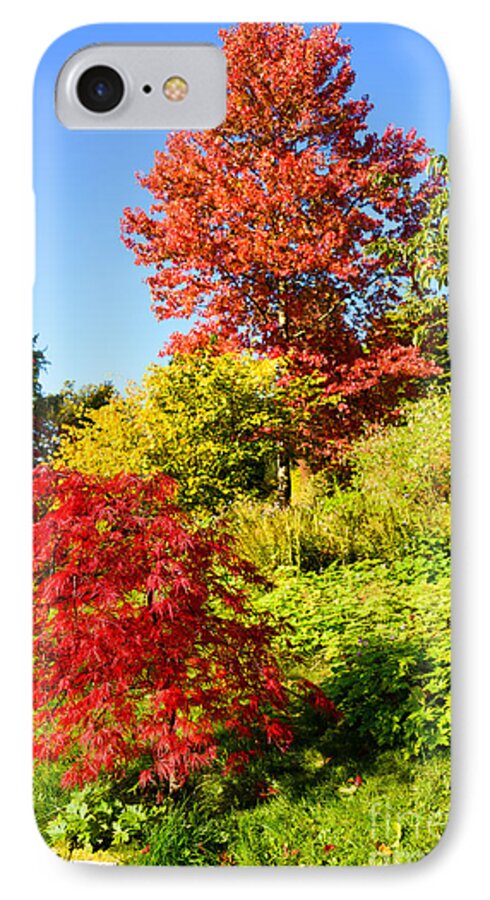 Autumn iPhone 7 Case featuring the photograph Autumn colours by Colin Rayner
