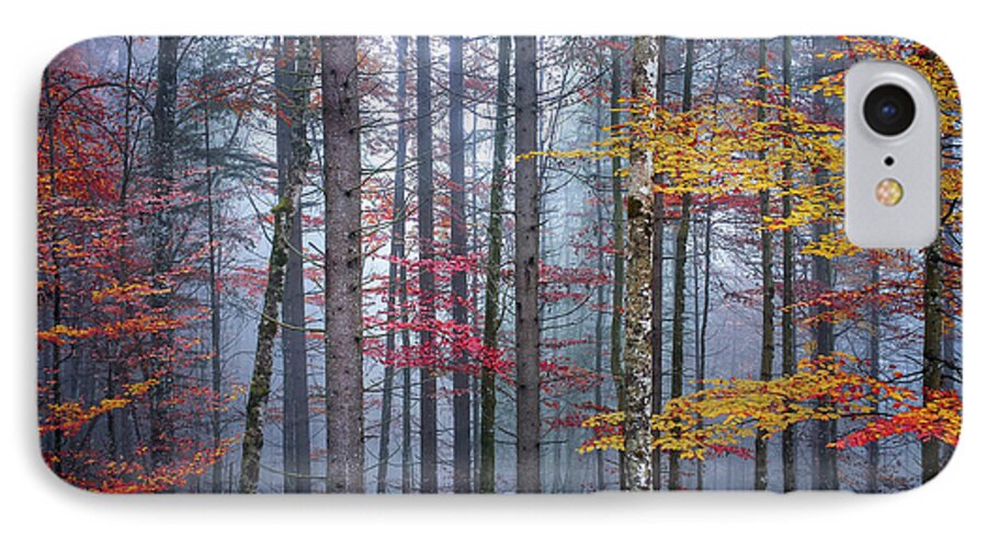 Forest iPhone 7 Case featuring the photograph Autumn forest in fog by Elena Elisseeva